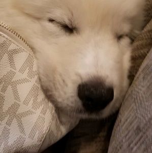 Meet your Posher, Emilye